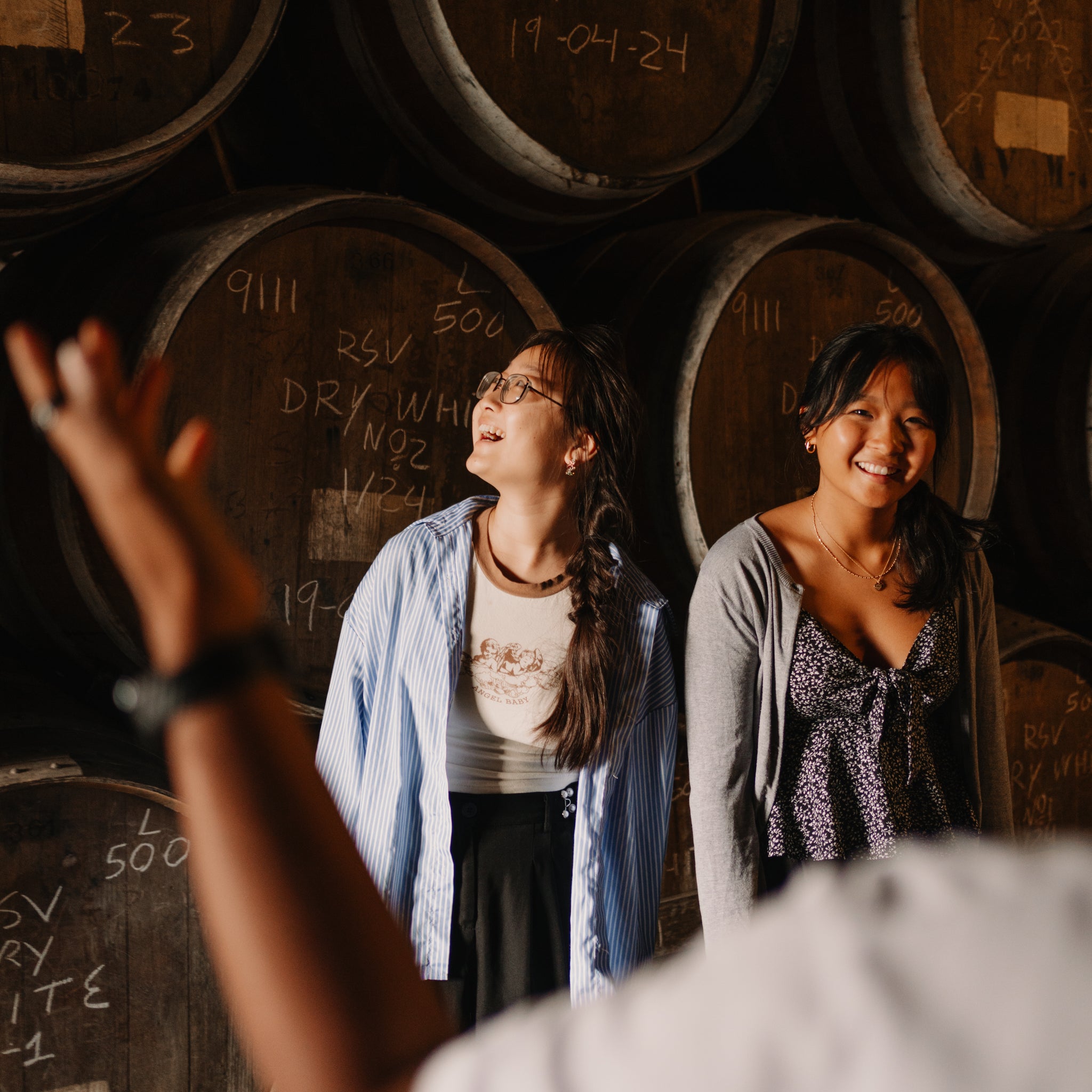 Valentin's Tasting with cheese pairing