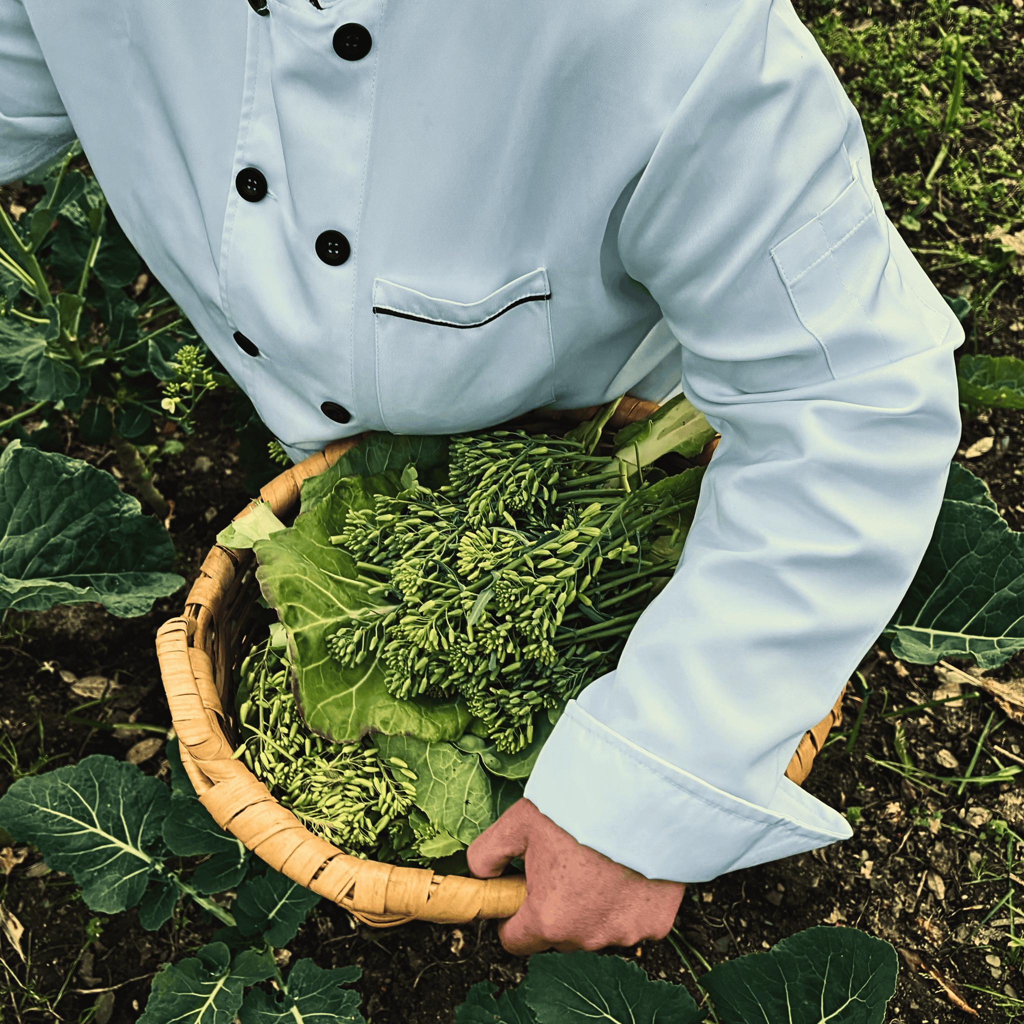 Gricha by Fire: Vines, Wine and Time