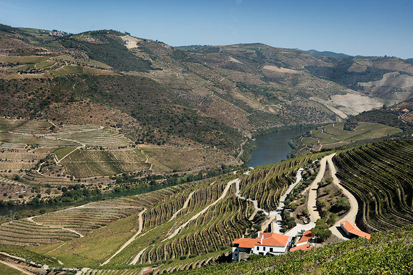 Quinta da Gricha – Churchill's