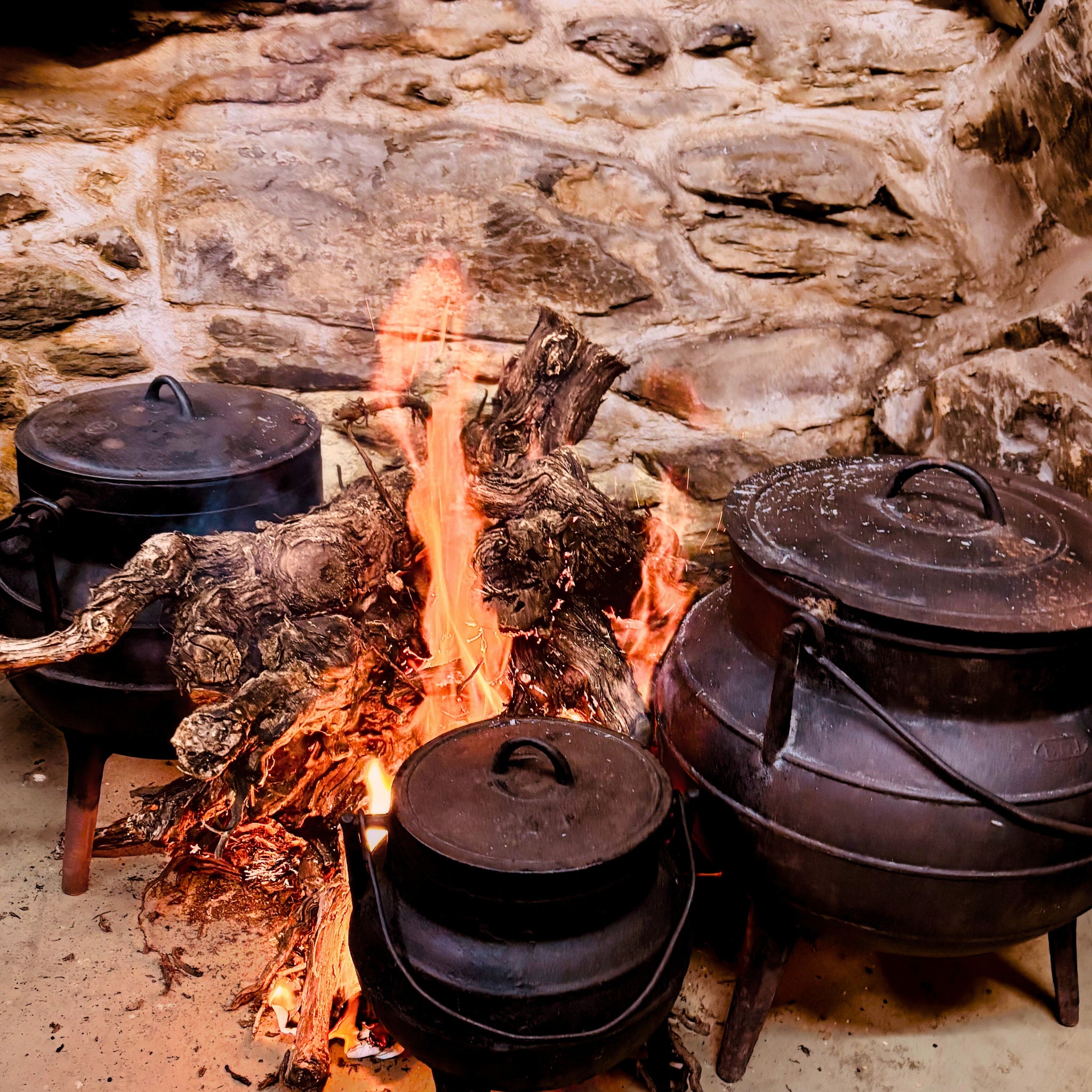 Gricha by Fire: Vines, Wine and Time