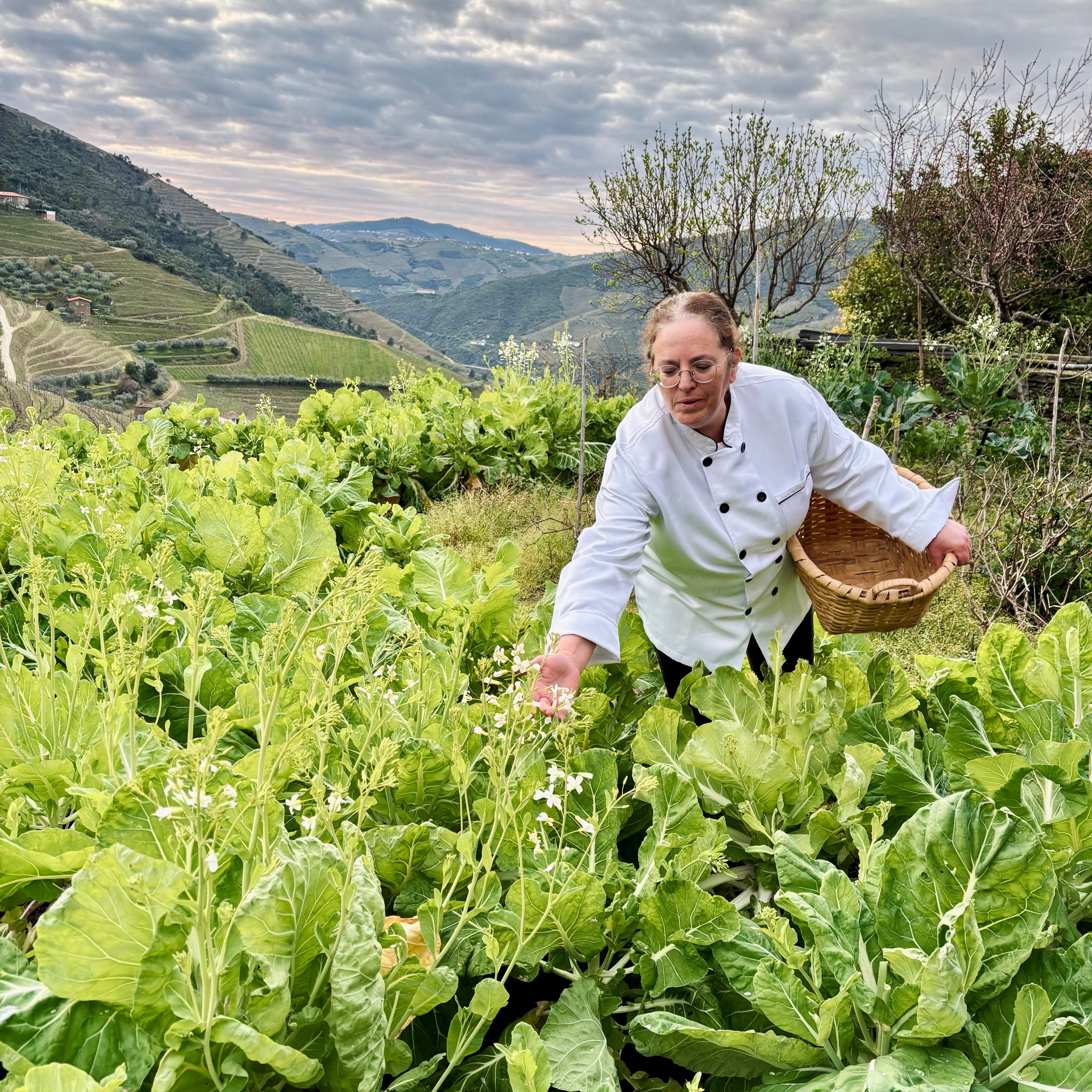 Gricha by Fire: Vines, Wine and Time